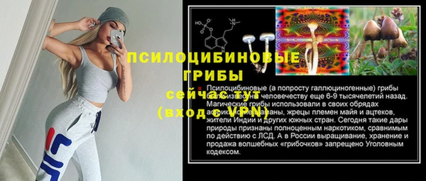 бошки Балахна